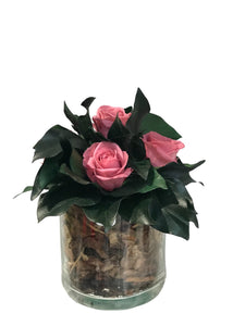 Rose Stabilizzate Vaso 10/10 cm con. Spedizione Gratuita