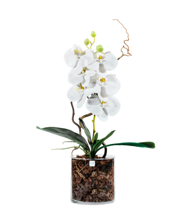 Orchidee Artificiale Real Touch. Vaso 15/15 cm. Spedizione Gratuita