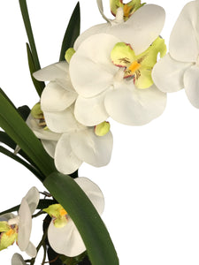 Orchidee Real Touch. Vaso (23x12,5x30 cm). Spedizione Gratuita