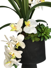 Carica l&#39;immagine nel visualizzatore di Gallery, Orchidee Real Touch. Vaso (23x12,5x30 cm). Spedizione Gratuita