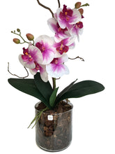 Load image into Gallery viewer, Orchidee Artificiali Real Touch Vaso 15/15 cm. Spedizione Gratuita