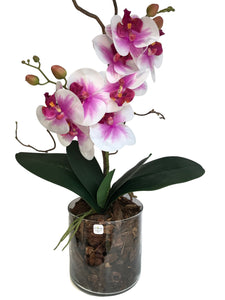 Orchidee Artificiali Real Touch Vaso 15/15 cm. Spedizione Gratuita