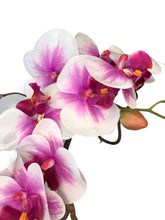 Carica l&#39;immagine nel visualizzatore di Gallery, Orchidee Artificiali Real Touch Vaso 15/15 cm. Spedizione Gratuita