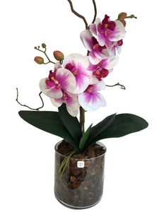 Orchidee Artificiali Real Touch Vaso 15/15 cm. Spedizione Gratuita