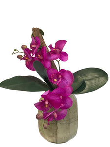 Orchidea Artificiale Real Touch. Vaso 16 x 18.5cm Spedizione Gratuita