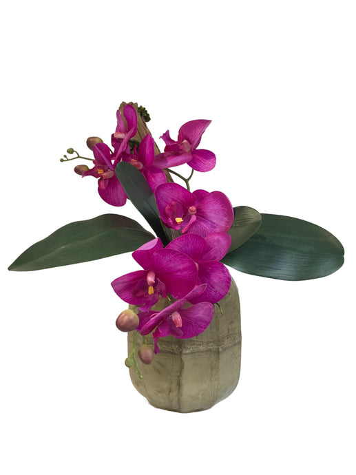 Orchidea Artificiale Real Touch. Vaso 16 x 18.5cm Spedizione Gratuita