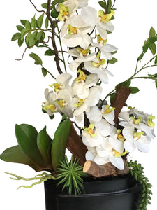 Orchidee Artificiali Real Touch. Spedizione Gratuita