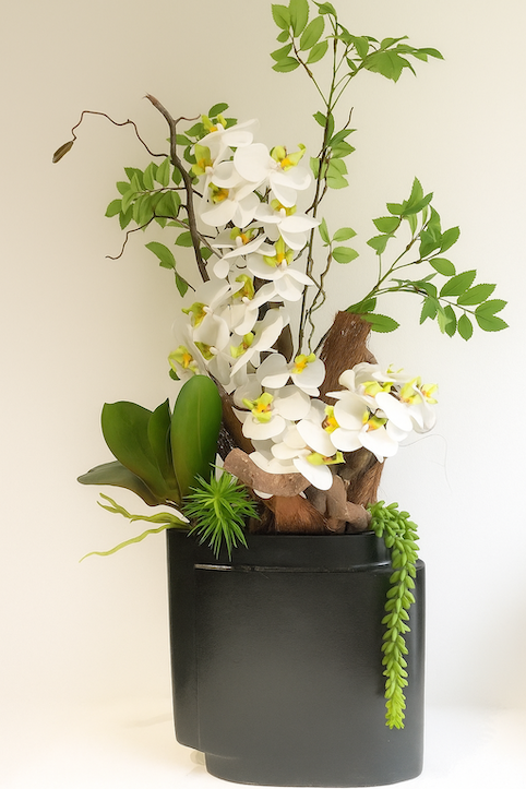 Orchidea farfalla in vaso di ceramica retrò rosa 9 cm | OBI