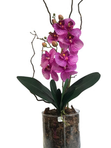 Orchidee Artificiali  Real Touch. Vaso 15/15 cm. Spedizione Gratuita