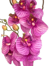 Carica l&#39;immagine nel visualizzatore di Gallery, Orchidee Artificiali  Real Touch. Vaso 15/15 cm. Spedizione Gratuita