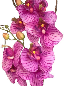 Orchidee Artificiali  Real Touch. Vaso 15/15 cm. Spedizione Gratuita