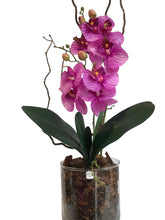 Carica l&#39;immagine nel visualizzatore di Gallery, Orchidee Artificiali  Real Touch. Vaso 15/15 cm. Spedizione Gratuita
