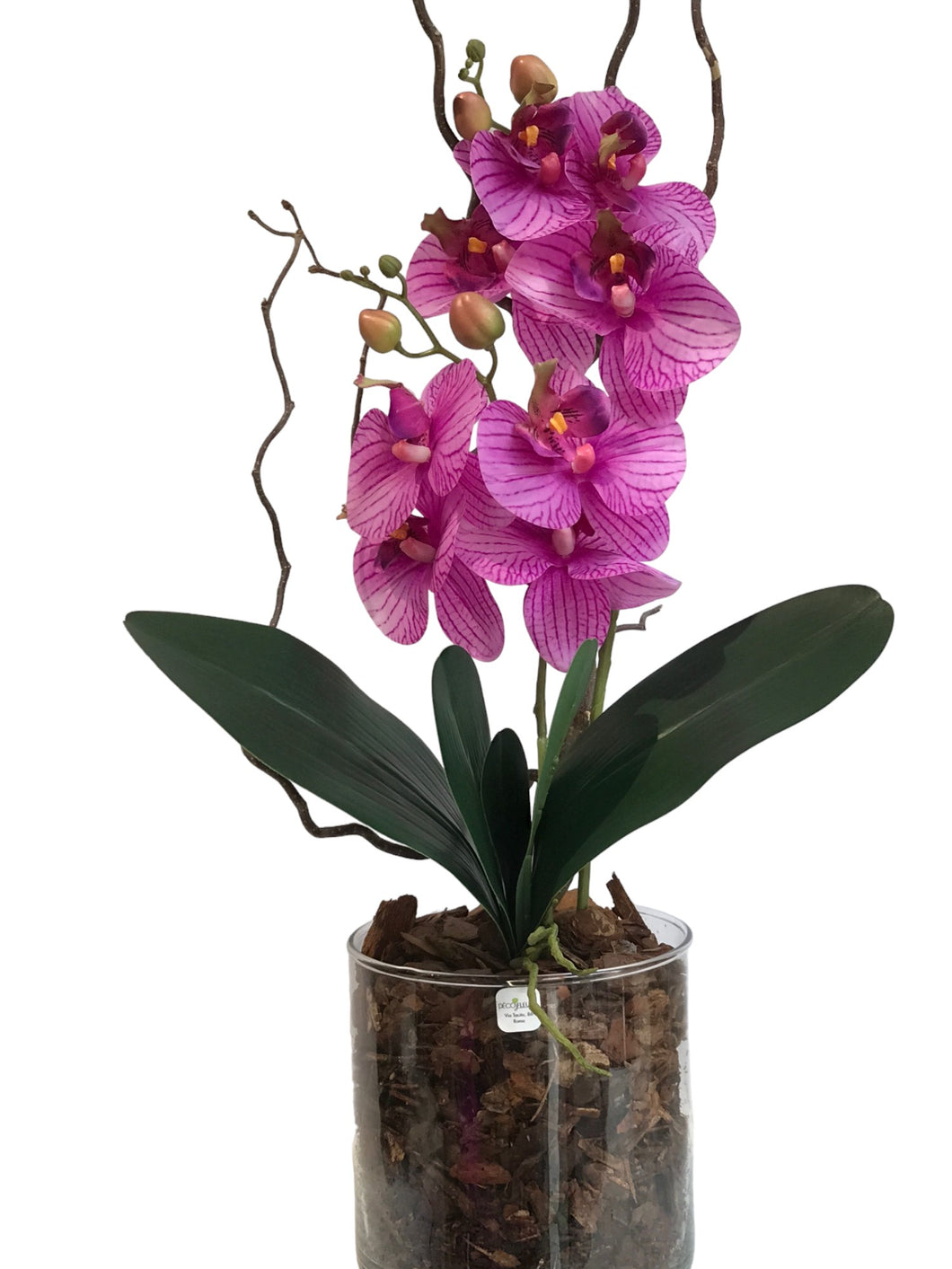 Orchidee Artificiali  Real Touch. Vaso 15/15 cm. Spedizione Gratuita