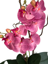 Charger l&#39;image dans la galerie, Orchidee Artificiali Real Touch. Vaso 15/15 cm. Spedizione Gratuita