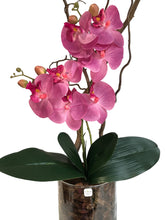 Carica l&#39;immagine nel visualizzatore di Gallery, Orchidee Artificiali Real Touch. Vaso 15/15 cm. Spedizione Gratuita