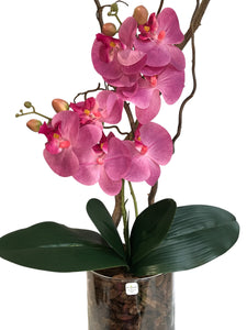 Orchidee Artificiali Real Touch. Vaso 15/15 cm. Spedizione Gratuita