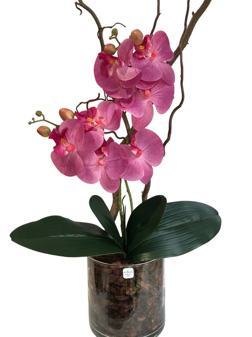 Orchidee Artificiali Real Touch. Vaso 15/15 cm. Spedizione Gratuita