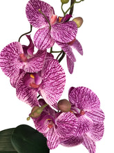 Cargar imagen en el visor de la galería, Orchidee Artificiale Real Touch. Vaso 15/15 cm. Spedizione Gratuita