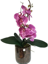 Carica l&#39;immagine nel visualizzatore di Gallery, Orchidee Artificiale Real Touch. Vaso 15/15 cm. Spedizione Gratuita