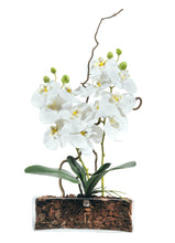 Carica l&#39;immagine nel visualizzatore di Gallery, Orchidee Artificiali Real Touch. Vaso (cm H10X30X10) Spedizione Gratuita