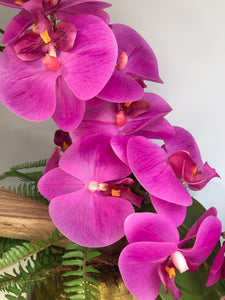 Orchidee Artificiale Real Touch. Vaso (27x17cm H). Spedizione Gratuita