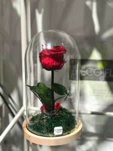 Rose Stabilizzate Dèco Fleurs: Eterna Bellezza in Bowl di Vetro
