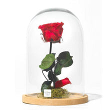 Carica l&#39;immagine nel visualizzatore di Gallery, Rose stabilizzate realizzato con effetto acqua.  Déco Fleurs - Composizioni di fiori artificiali Fiori Finti Roma Fiori artificiali Roma