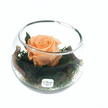 Cargar imagen en el visor de la galería, Fiori Senza Tempo: Rose Stabilizzate in bowl di vetro,