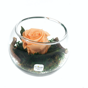 Rosa Stabilizzata. Bowl h. 12 cm. Spedizione Gratuita