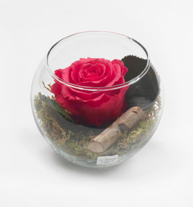 Rose stabilizzate realizzato con effetto acqua.  Déco Fleurs - Composizioni di fiori artificiali Fiori Finti Roma Fiori artificiali Roma