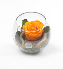 Load image into Gallery viewer, Rose stabilizzate realizzato con effetto acqua.  Déco Fleurs - Composizioni di fiori artificiali Fiori Finti Roma Fiori artificiali Roma