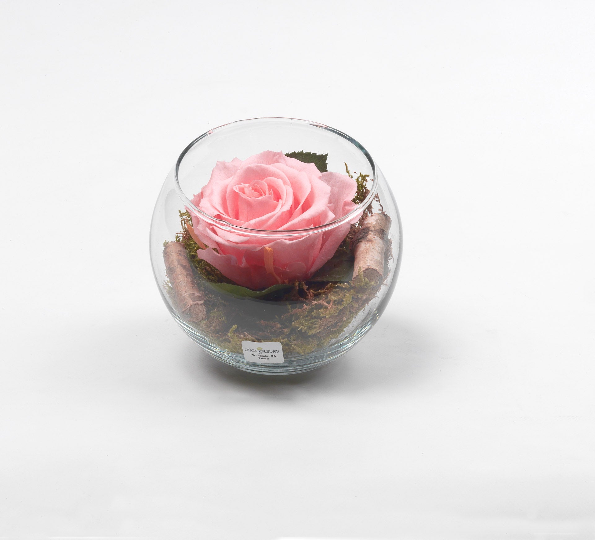 Rose Stabilizzate Dèco Fleurs: Eterna Bellezza in Bowl di Vetro, – Déco  Fleurs