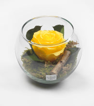 Charger l&#39;image dans la galerie, Rose stabilizzate realizzato con effetto acqua.  Déco Fleurs - Composizioni di fiori artificiali Fiori Finti Roma Fiori artificiali Roma