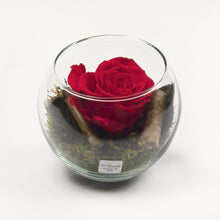 Cargar imagen en el visor de la galería, Rose stabilizzate realizzato con effetto acqua.  Déco Fleurs - Composizioni di fiori artificiali Fiori Finti Roma Fiori artificiali Roma