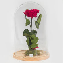 Laden Sie das Bild in den Galerie-Viewer, Rose stabilizzate realizzato con effetto acqua.  Déco Fleurs - Composizioni di fiori artificiali Fiori Finti Roma Fiori artificiali Roma