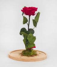 Load image into Gallery viewer, Rose stabilizzate realizzato con effetto acqua.  Déco Fleurs - Composizioni di fiori artificiali Fiori Finti Roma Fiori artificiali Roma