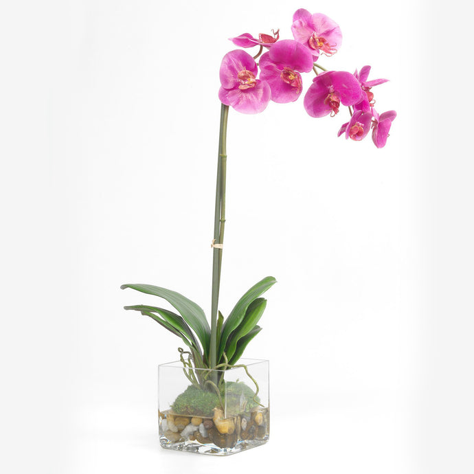 Orchidea Artificiale Real Touch Déco Fleurs - Composizioni di fiori artificiali Fiori Finti Roma Fiori artificiali Roma