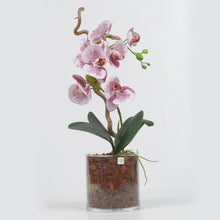Carica l&#39;immagine nel visualizzatore di Gallery, Orchidea Artificiale Real Touch Déco Fleurs - Composizioni di fiori artificiali Fiori Finti Roma Fiori artificiali Roma