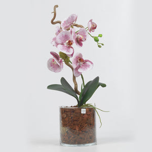 Orchidea Artificiale Real Touch Déco Fleurs - Composizioni di fiori artificiali Fiori Finti Roma Fiori artificiali Roma