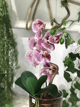 Carica l&#39;immagine nel visualizzatore di Gallery, Orchidea Artificiale Real Touch Déco Fleurs - Composizioni di fiori artificiali Fiori Finti Roma Fiori artificiali Roma