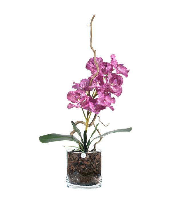 Orchidea Vanda Artificiale Real Touch
