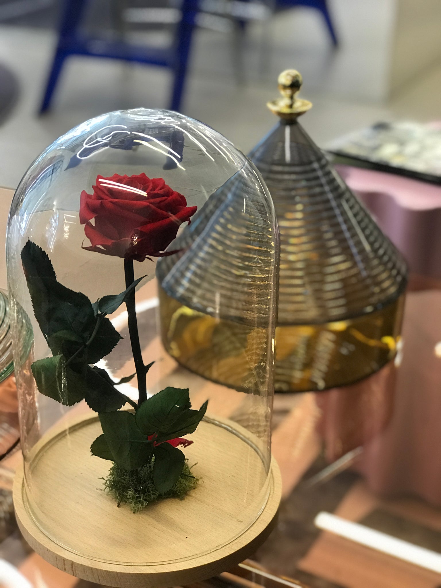 Eleganza e Amore: La Rosa Stabilizzata – Déco Fleurs